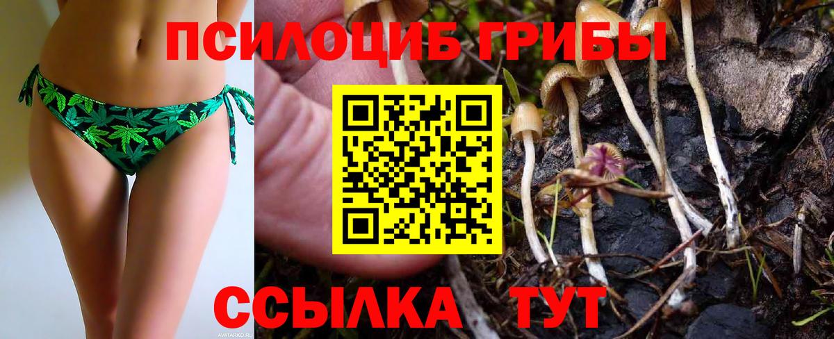 Псилоцибиновые грибы Magic Shrooms Печора
