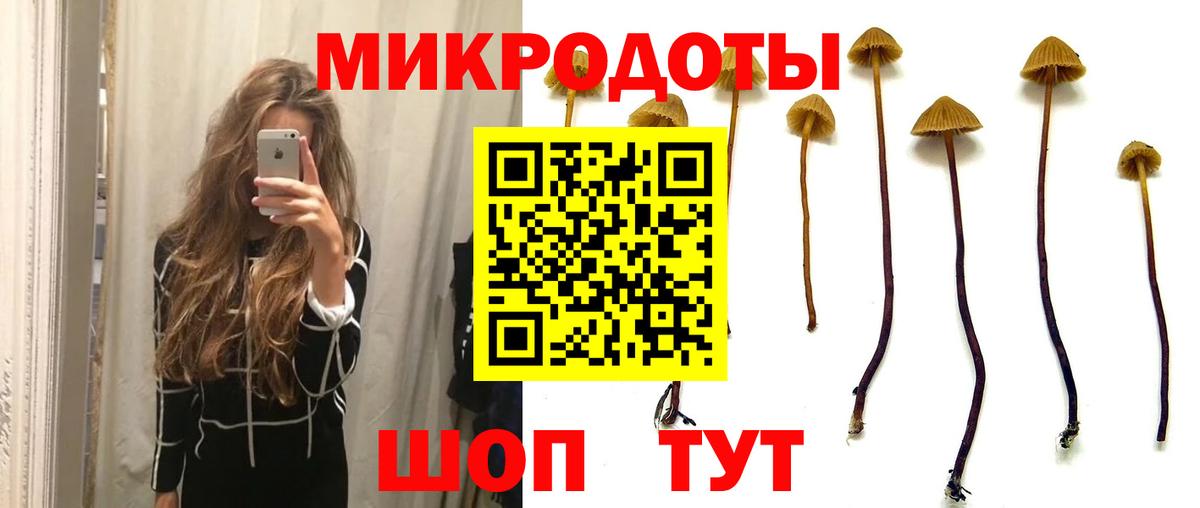 Галлюциногенные грибы Psilocybine cubensis  Вход с VPN  Печора 